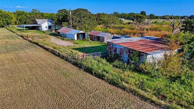 an outdoor view of garden with trees