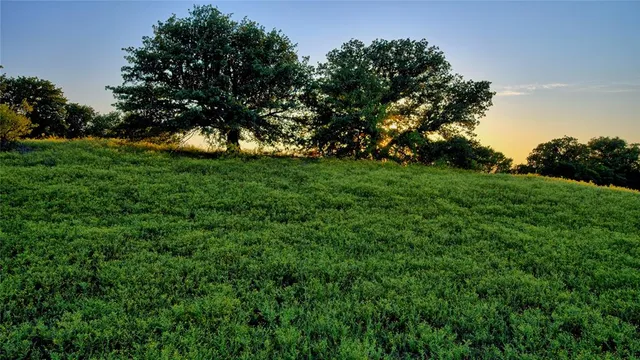 a view of yard with green space