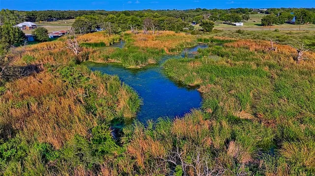 an aerial view of residential houses with outdoor space and trees