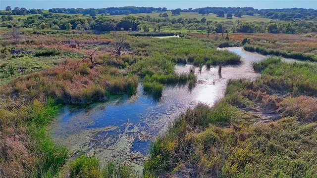 an aerial view of green landscape with trees houses and mountain view