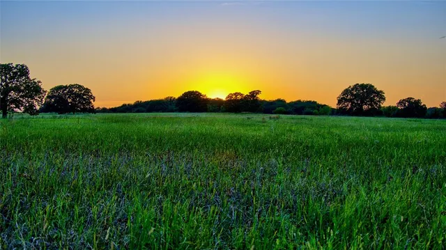 a view of a green field with lots of green space