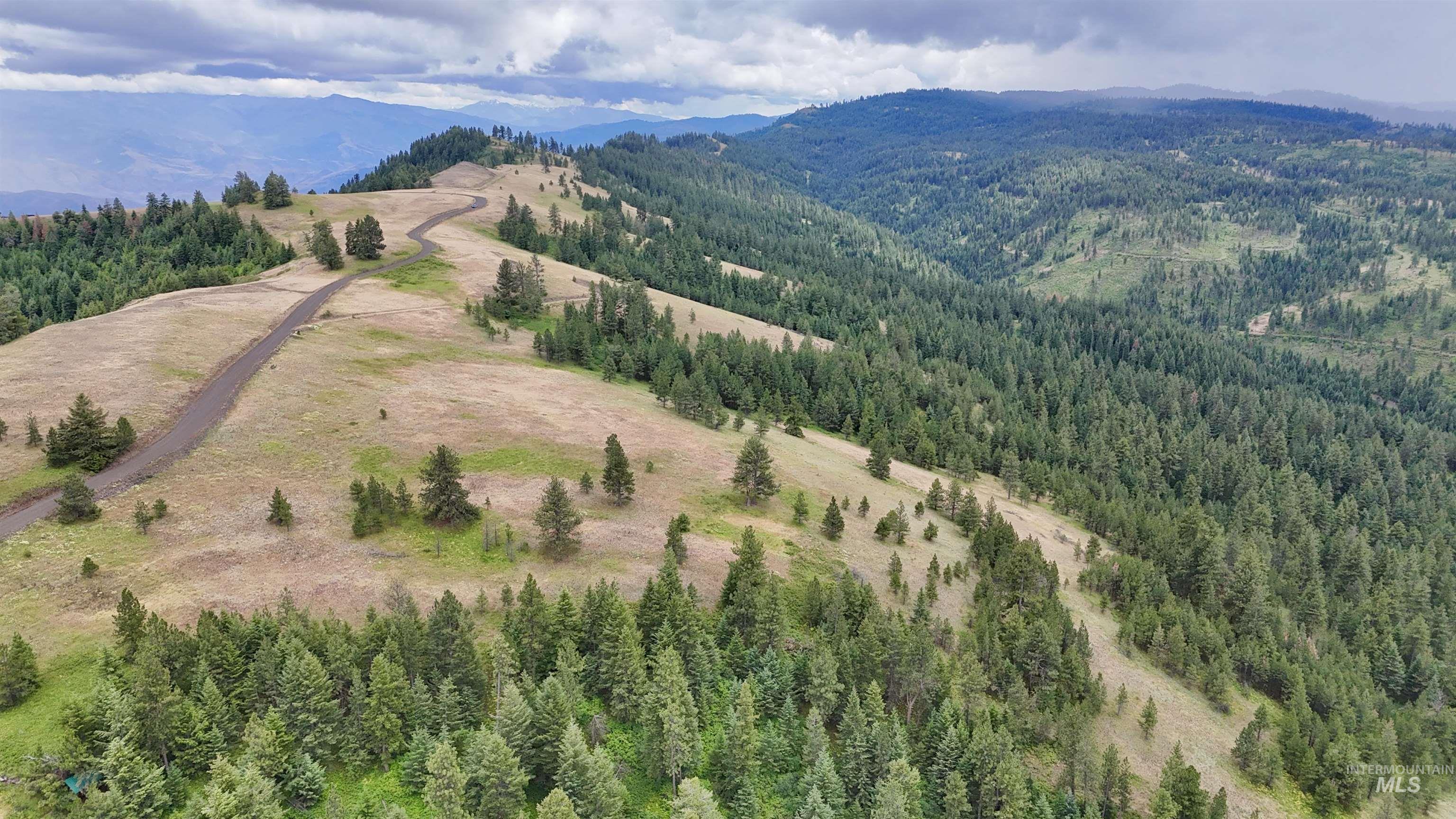 Lot 91 Pilgrim Ridge Road White Bird, ID 83554 - Photo 13 of 35
