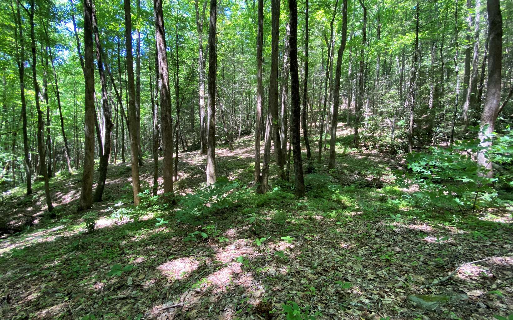 Na Copper Creek Road Murphy, NC 28906 - Photo 1 of 23 Main View