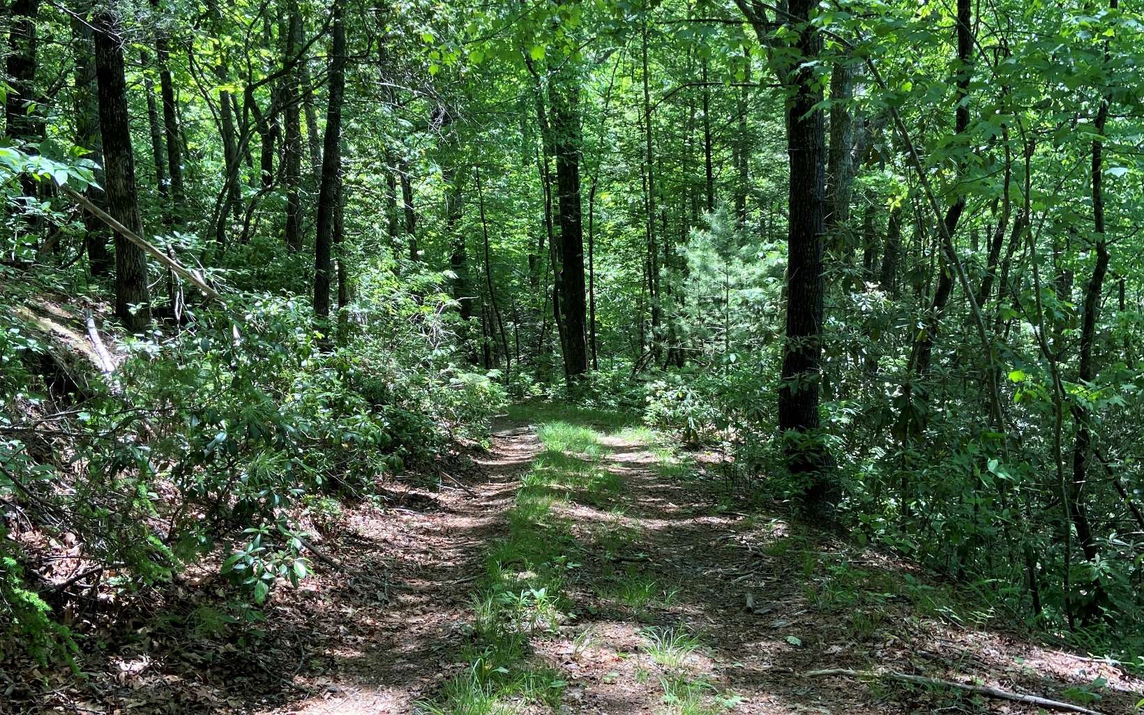 Na Copper Creek Road Murphy, NC 28906 - Photo 4 of 23 Additional View