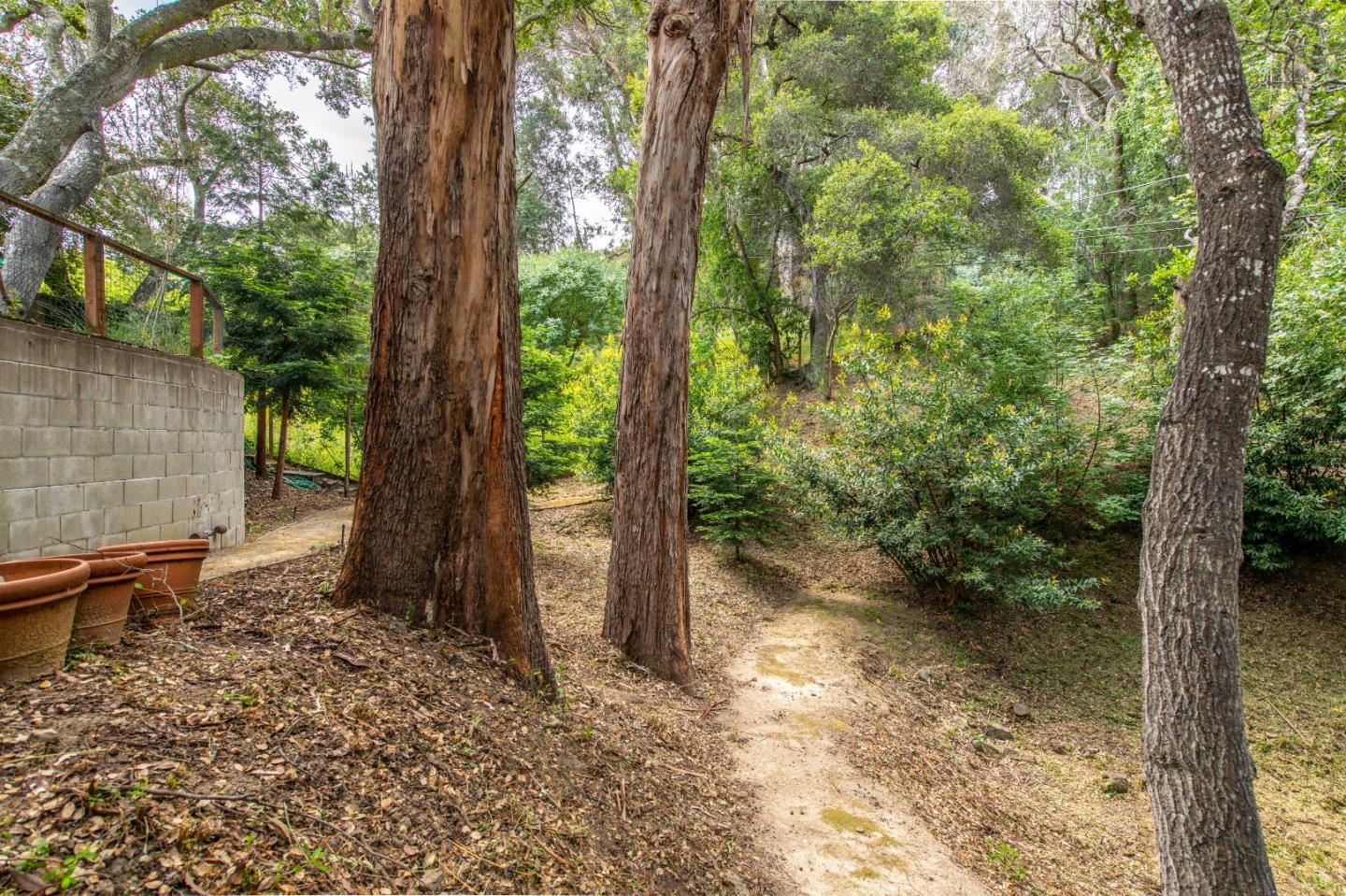 500 Yale Drive San Mateo, CA 94402 - Photo 35 of 35 a backyard of a house with lots of green space