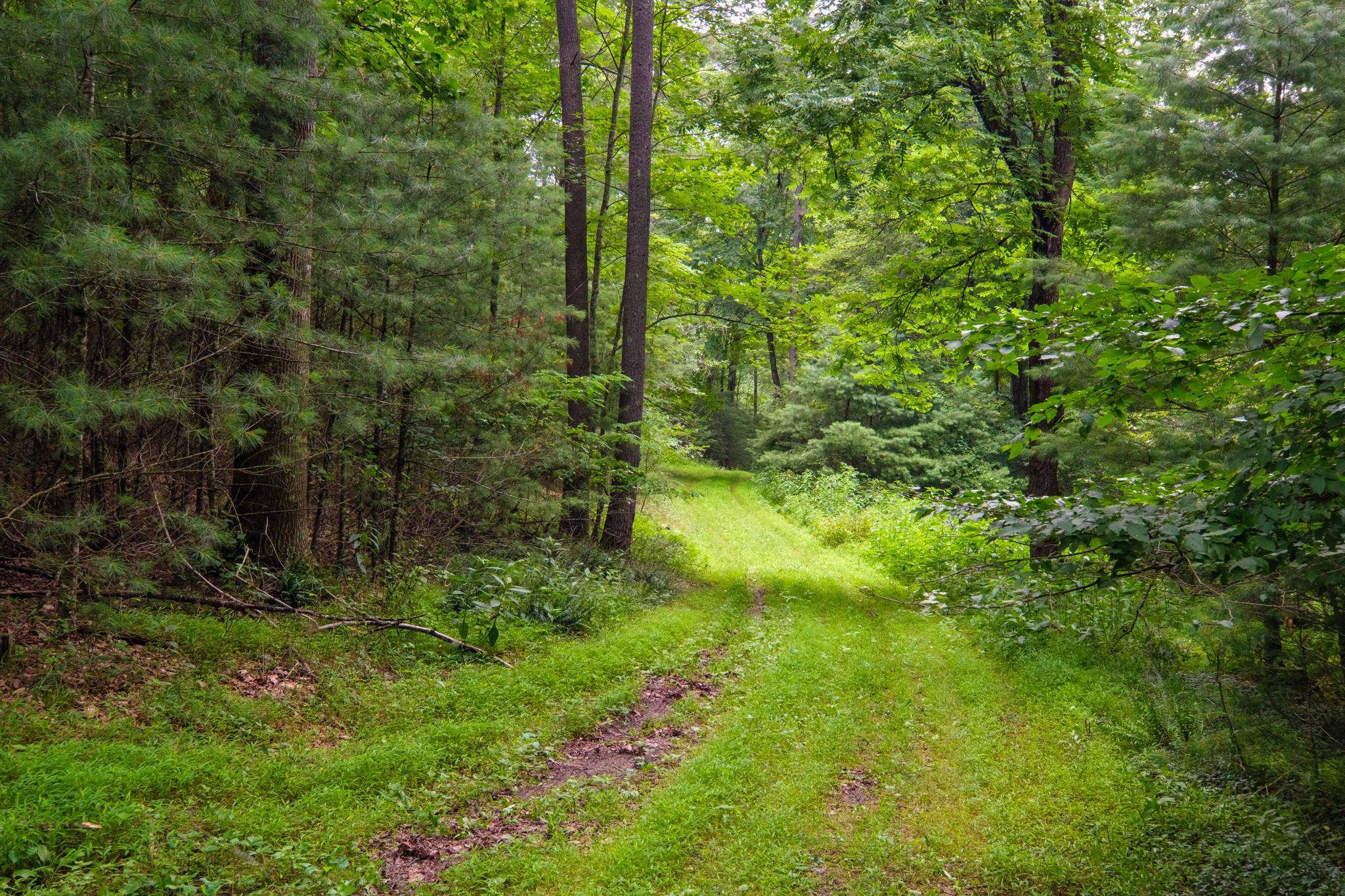 Tbd Criders Road Bergton, VA 22811 - Photo 10 of 22