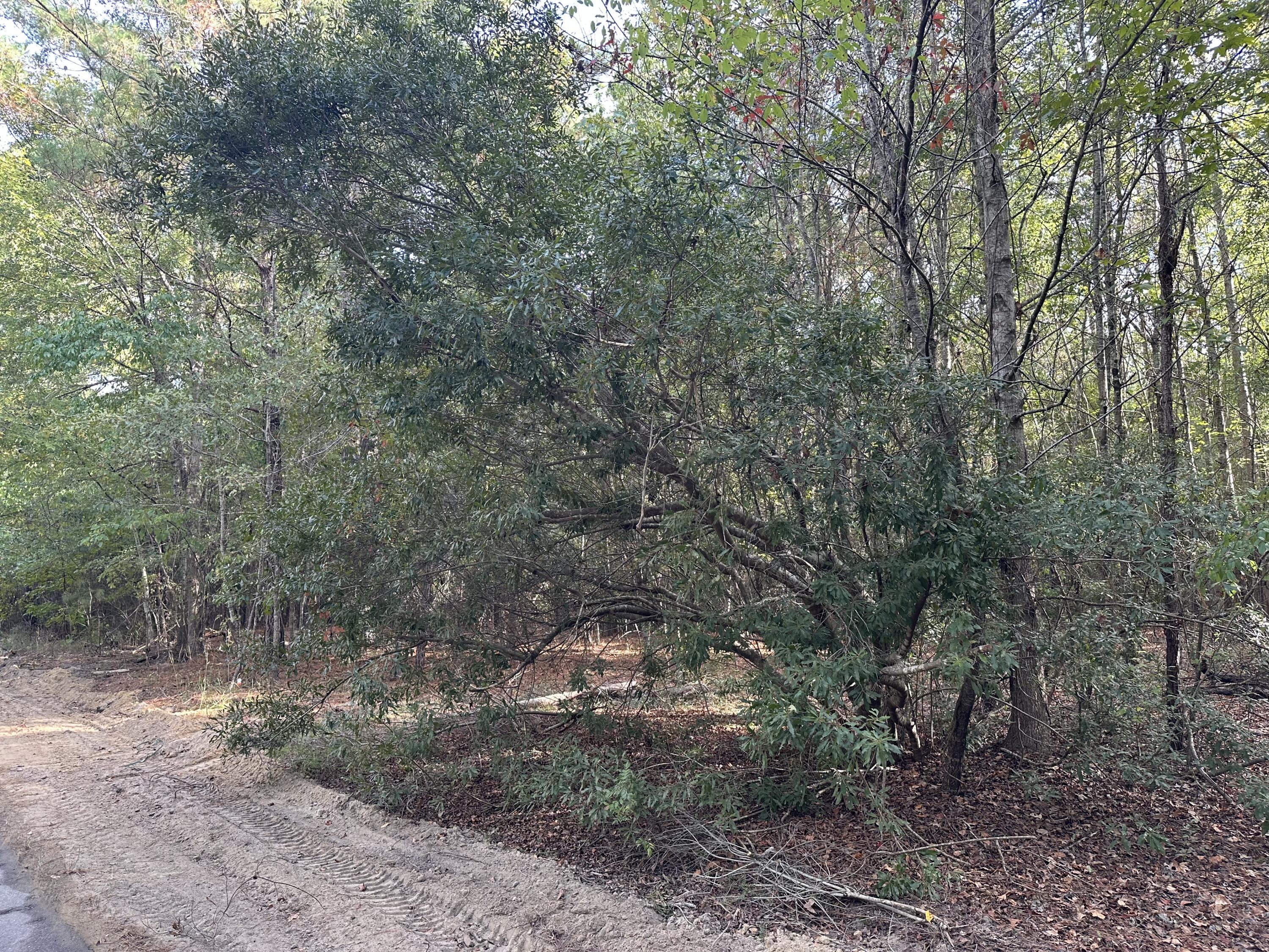 6 Hudson Summerton, SC 29148 - Photo 6 of 9