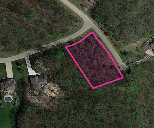 a view of a backyard with plants