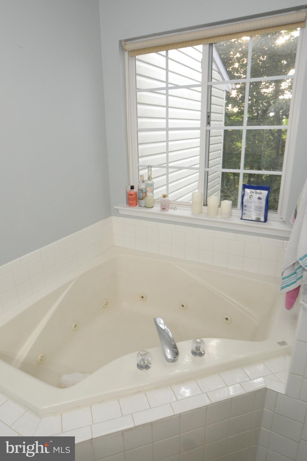 734 Shallow Ridge Court Abingdon, MD 21009 - Photo 2 of 27 Relax in the Jacuzzi