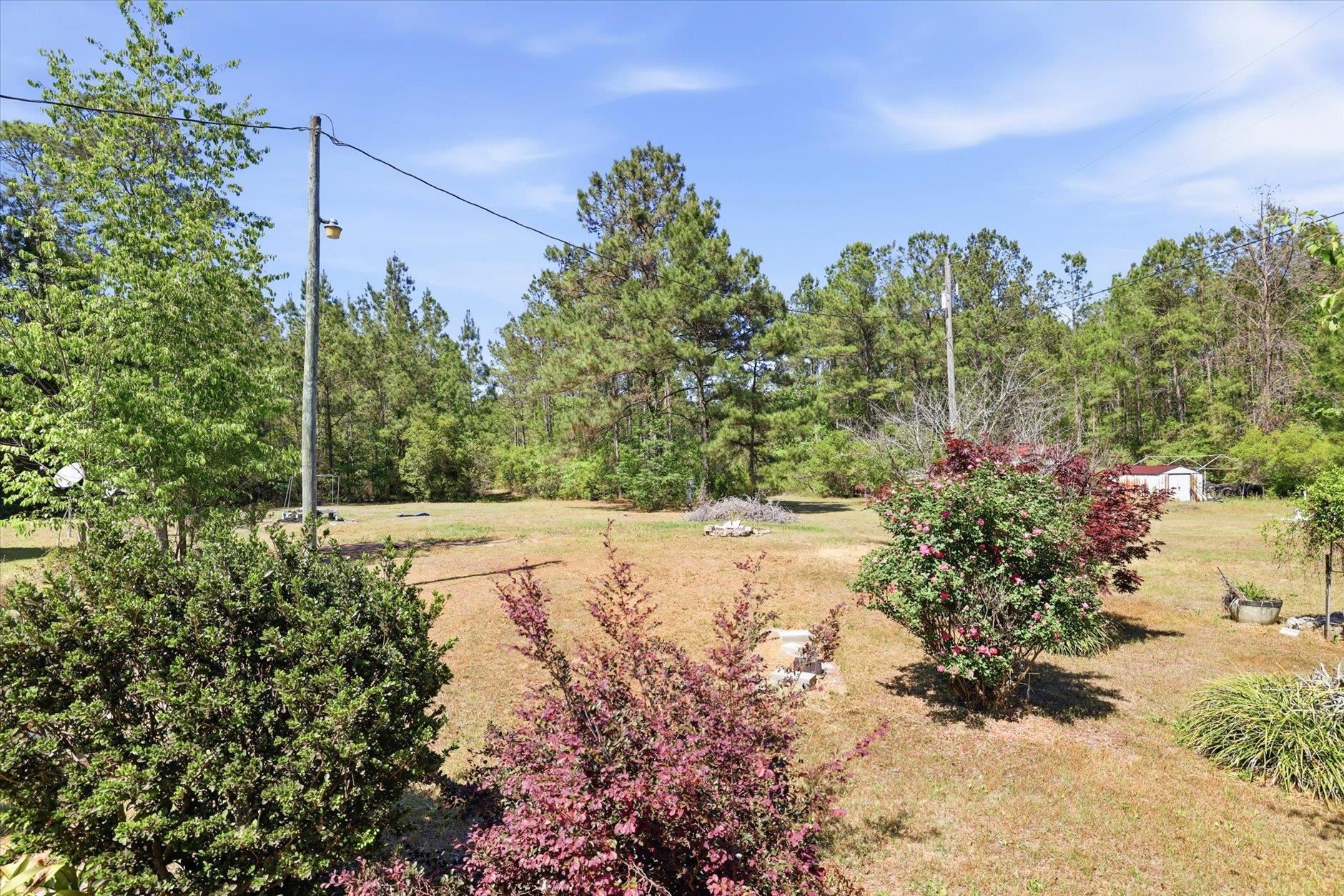 560 McNair Road Havana, FL 32333 - Photo 38 of 50