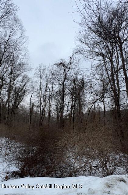 82 Brimstone Road Patterson, NY 12563 - Photo 4 of 4 a view of a yard