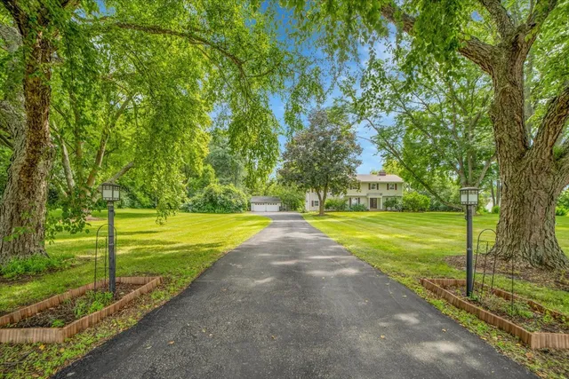 a view of a yard with a large trees