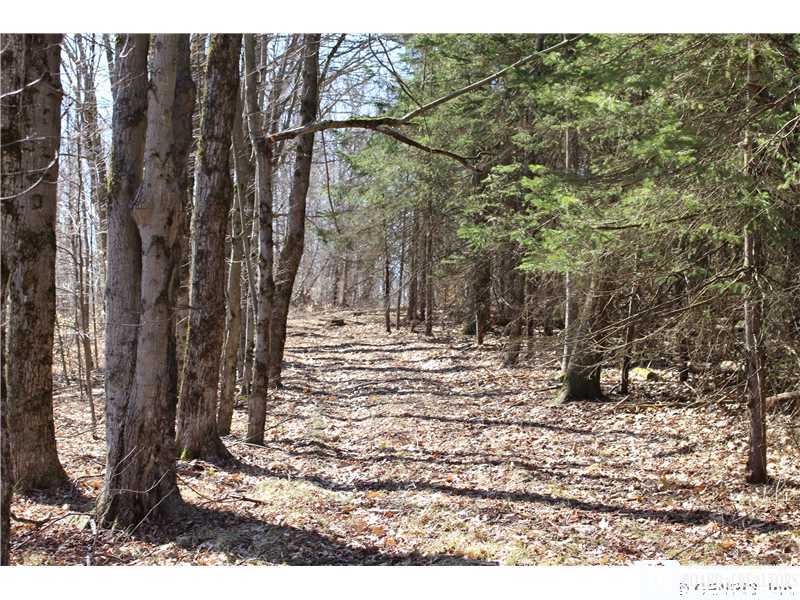 0 Stuck Hill Road Belmont, NY 14813 - Photo 1 of 1 Land.