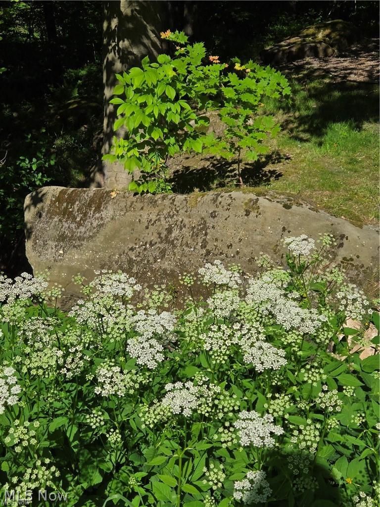13725 Rockhaven Road Newbury, OH 44065 - Photo 26 of 31 Rock outcroppings along the forest edge