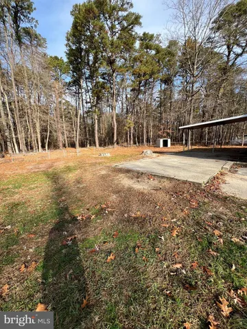 a view of large trees with barn in the background
