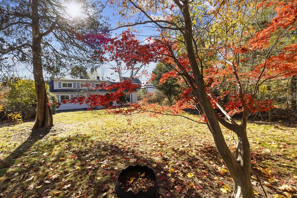 51 Appleton Street Saugus, MA 01906 - Photo 16 of 17 a view of outdoor space yard and tree