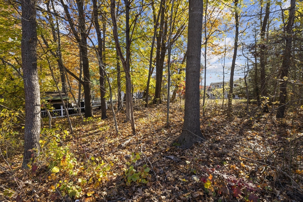 51 Appleton Street Saugus, MA 01906 - Photo 17 of 17 a backyard of a house with lots of green space