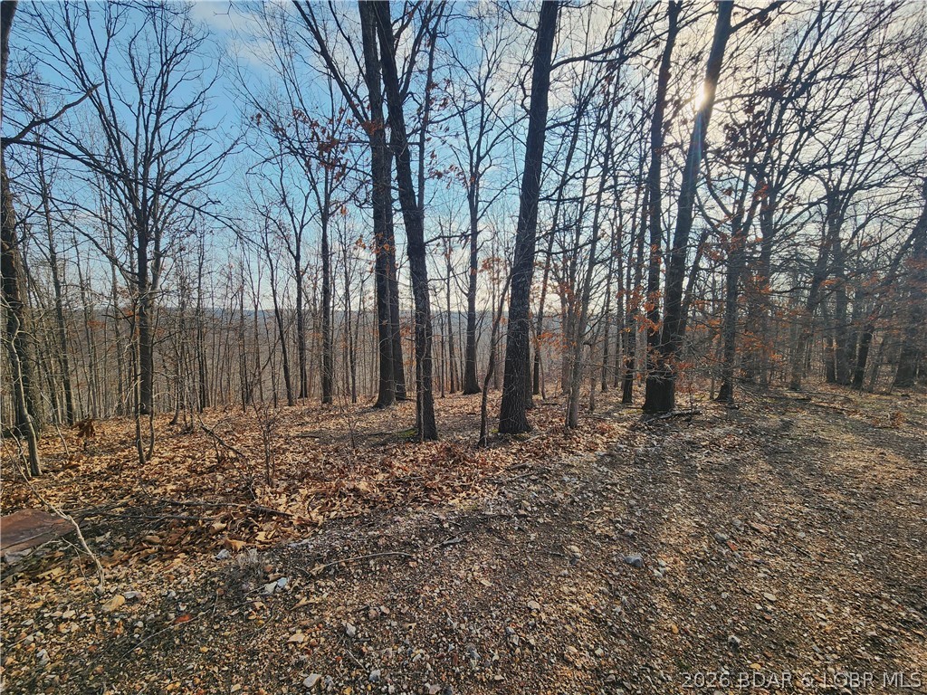 Lot 8 State J Road Camdenton, MO 65020 - Photo 15 of 32