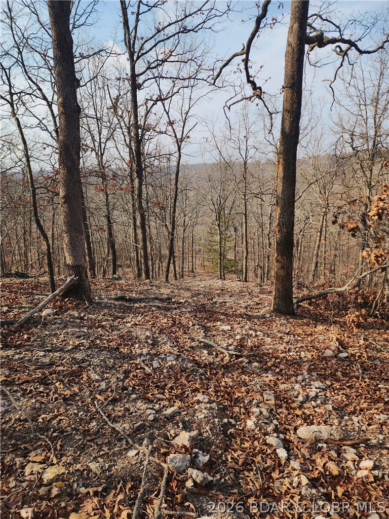 Lot 8 State J Road Camdenton, MO 65020 - Photo 22 of 32