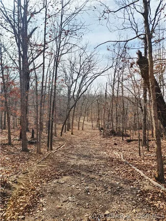 $86,578 | Lot 8 State J Road, Camdenton, MO 65020