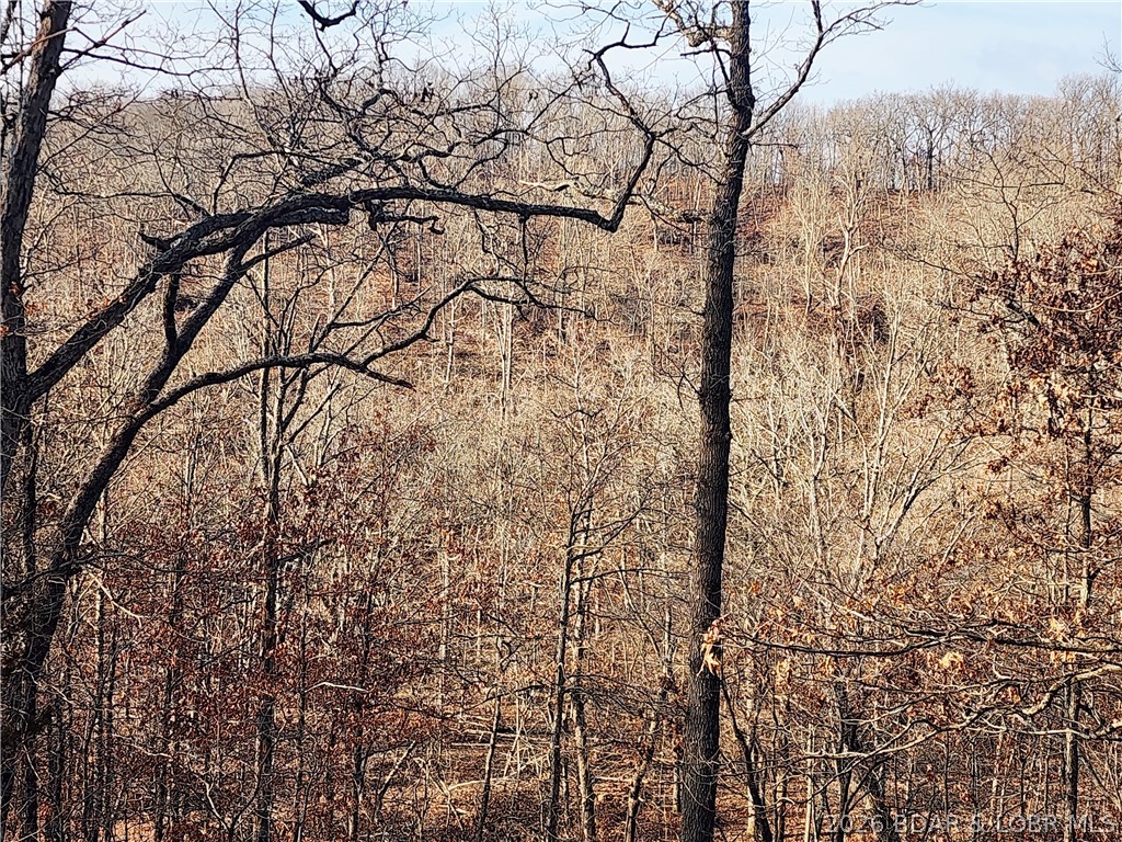 Lot 8 State J Road Camdenton, MO 65020 - Photo 6 of 32