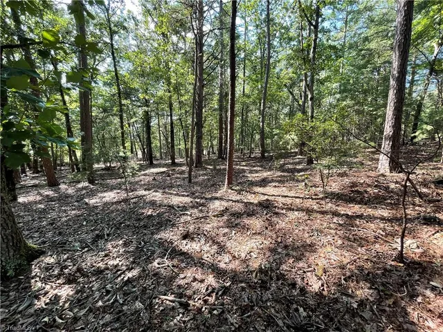 $39,900 | 135 Deep Water Court, New London, NC 28127