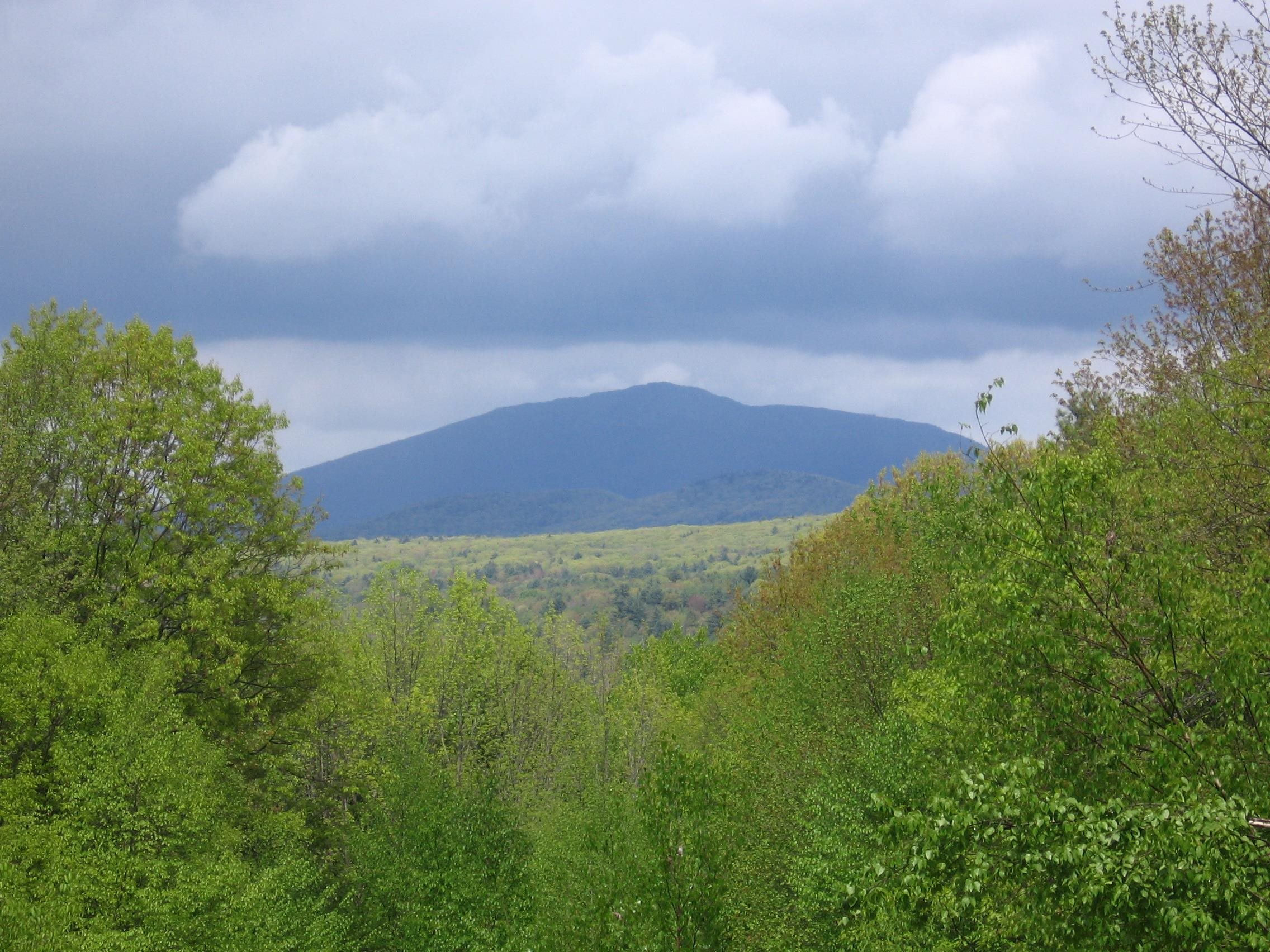 77 Holman Road Fitzwilliam, NH 03447 - Photo 5 of 13