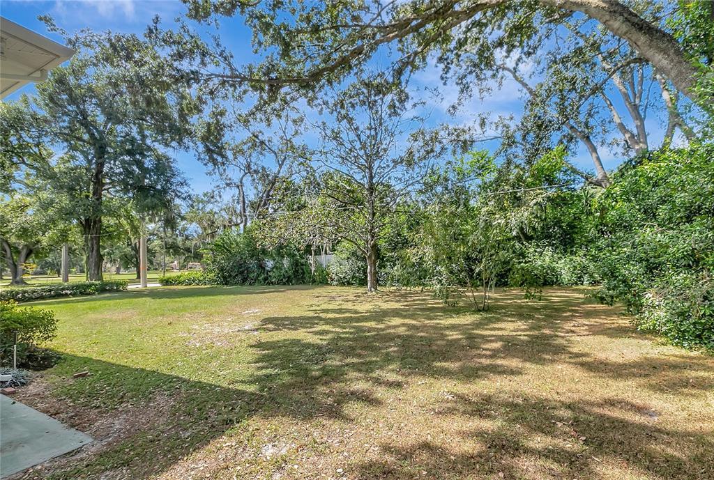 604 Druid Hills Road Temple Terrace, FL 33617 - Photo 52 of 59 a view of a field with an trees