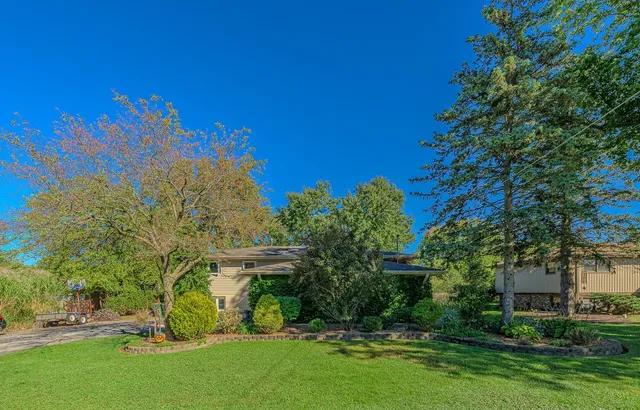 a view of a garden with a building in the background