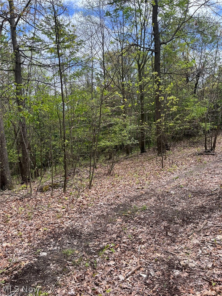 Sandy Ridge Road Tippecanoe, OH 44699 - Photo 7 of 21