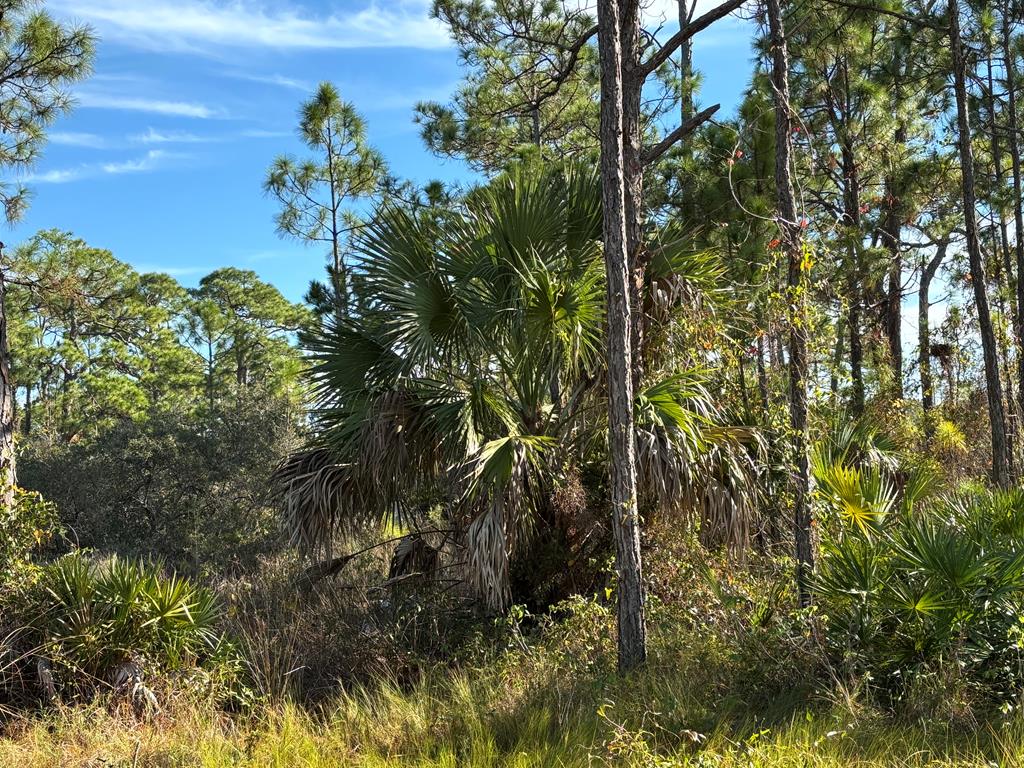 1012 Porter Street St. George Island, FL 32328 - Photo 4 of 22