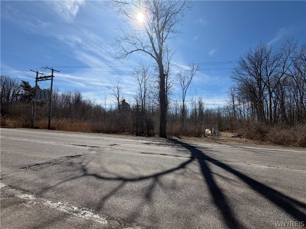 Main Street Corfu, NY 14036 - Photo 3 of 7