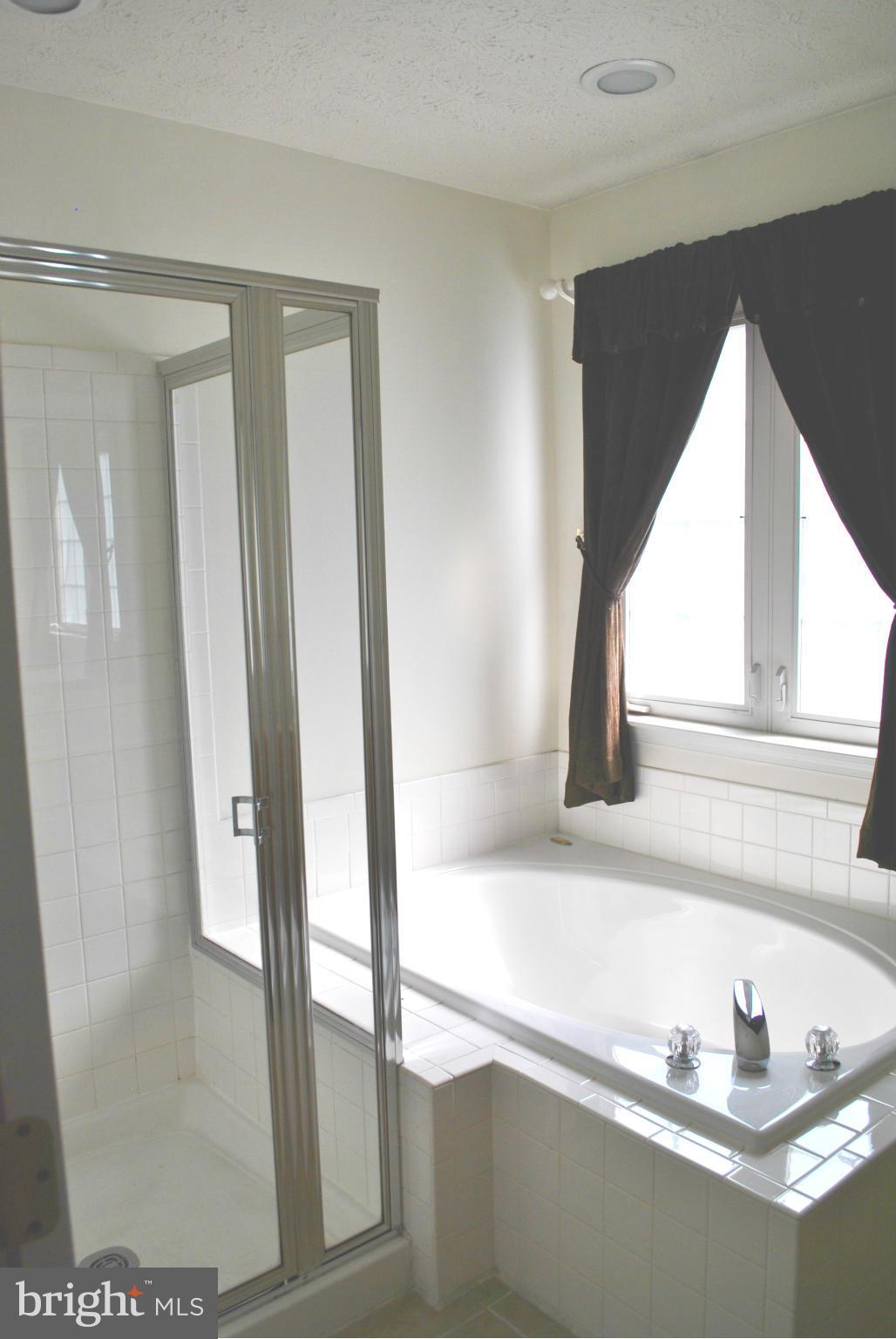 1425 Bretton View Road Annapolis, MD 21409 - Photo 13 of 21 Bath (Master)