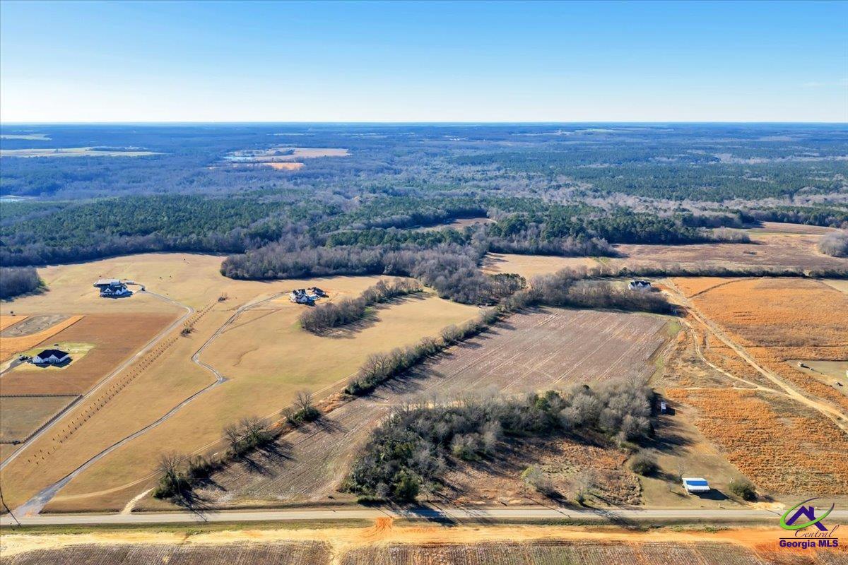 Lot 15 Elko (4.12 /- Acres) Road Elko, GA 31025 - Photo 5 of 5 Gallery Image 5