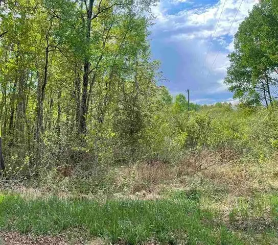 $14,900 | Tbd 3rd Street, Hibbing, MN 55746