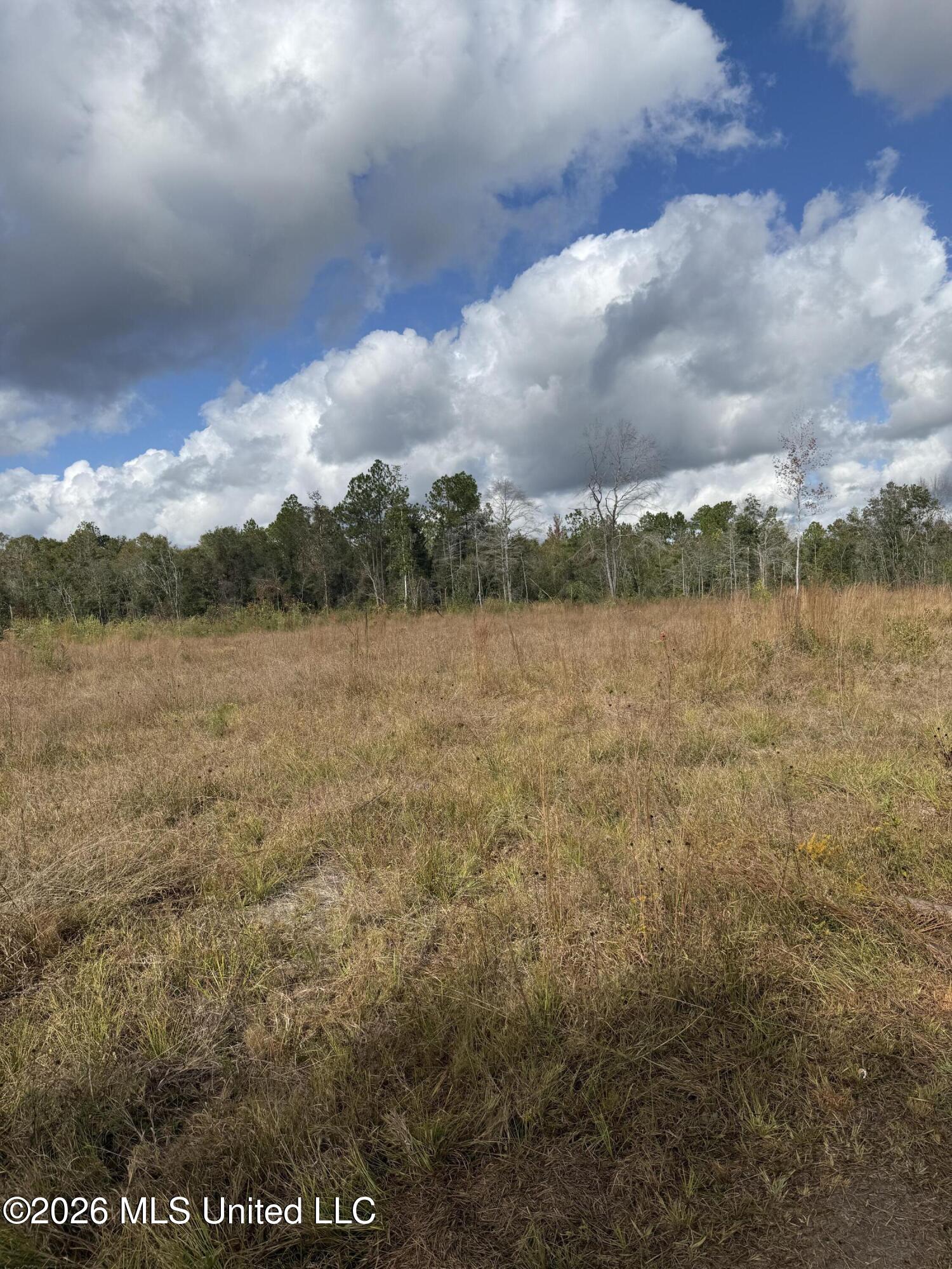 0 Ramie Farm Road Moss Point, MS 39562 - Photo 4 of 4 IMG_7538