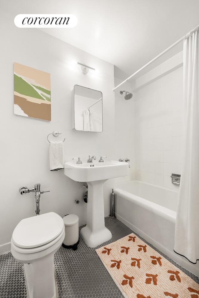 303 Beverley Road, Unit 8D Brooklyn, NY 11218 - Photo 7 of 9 a bathroom with a sink a toilet and a bathtub