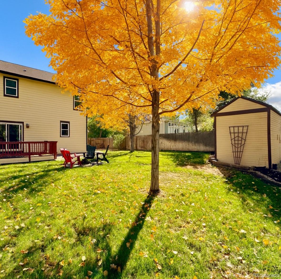 665 Kilmer Street Golden, CO 80401 - Photo 30 of 35 a view of backyard with swimming pool and seating space