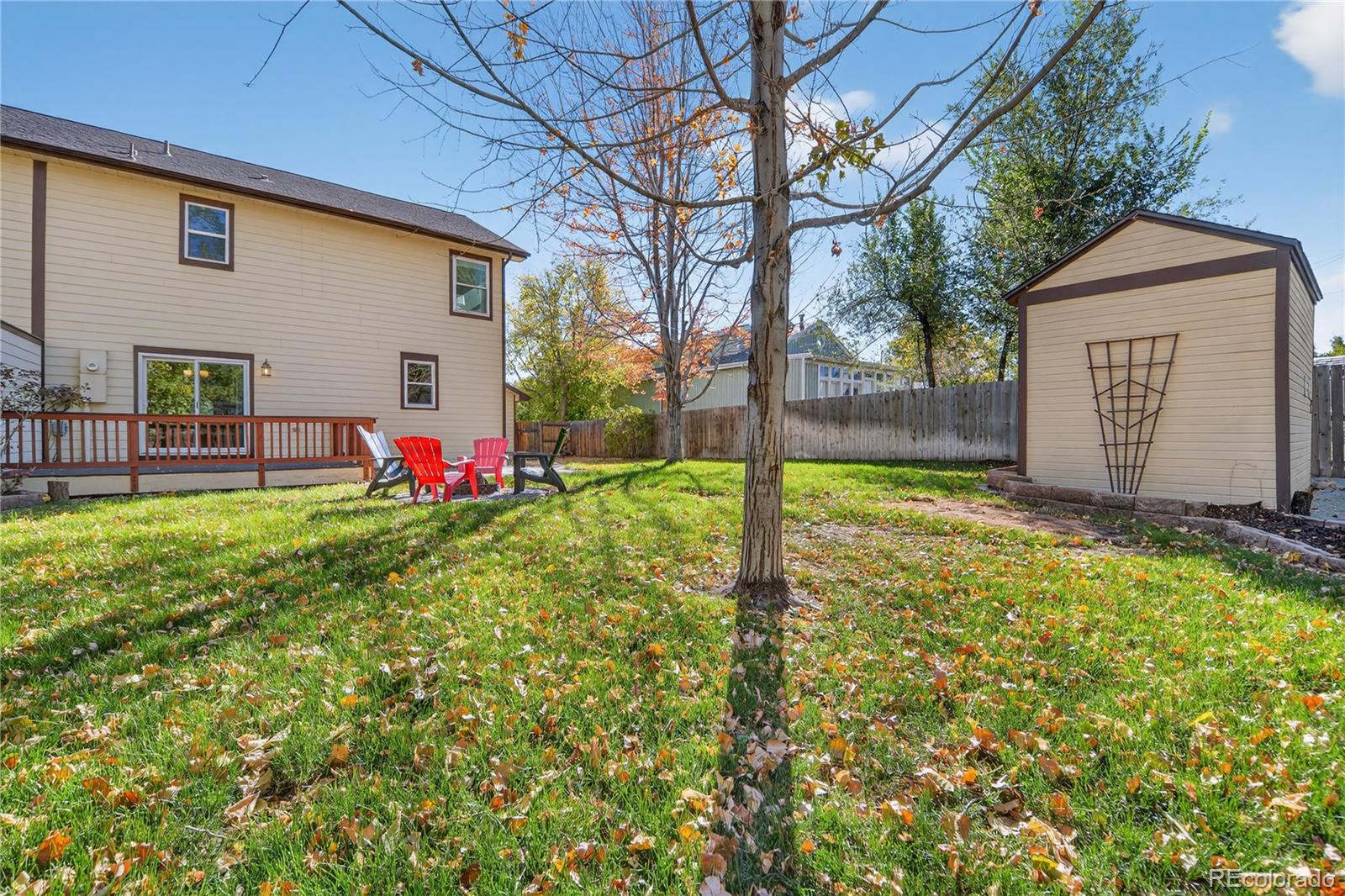 665 Kilmer Street Golden, CO 80401 - Photo 32 of 35 a view of backyard with large trees