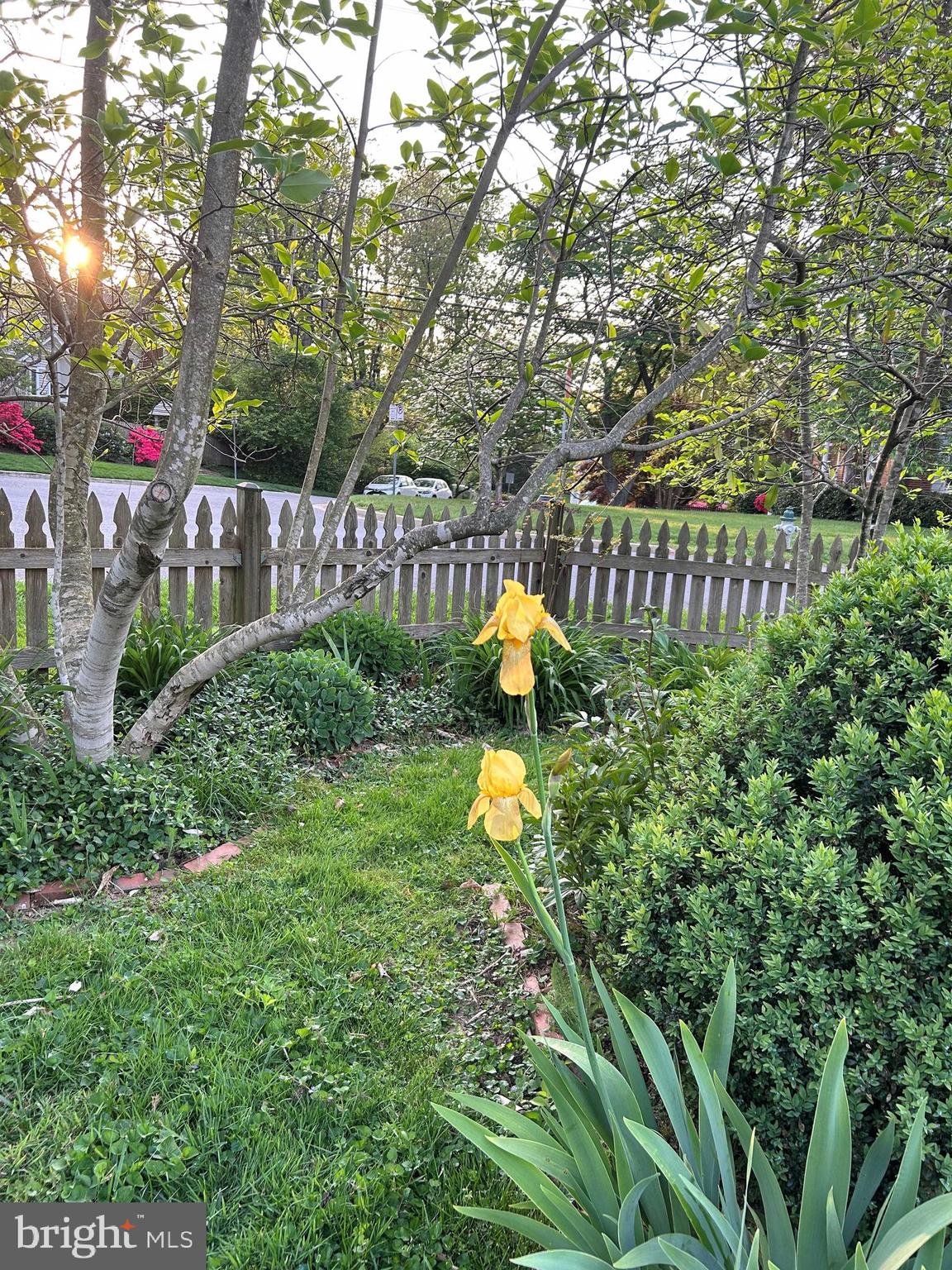 512 Pershing Drive Silver Spring, MD 20910 - Photo 37 of 39 Gallery Image 37