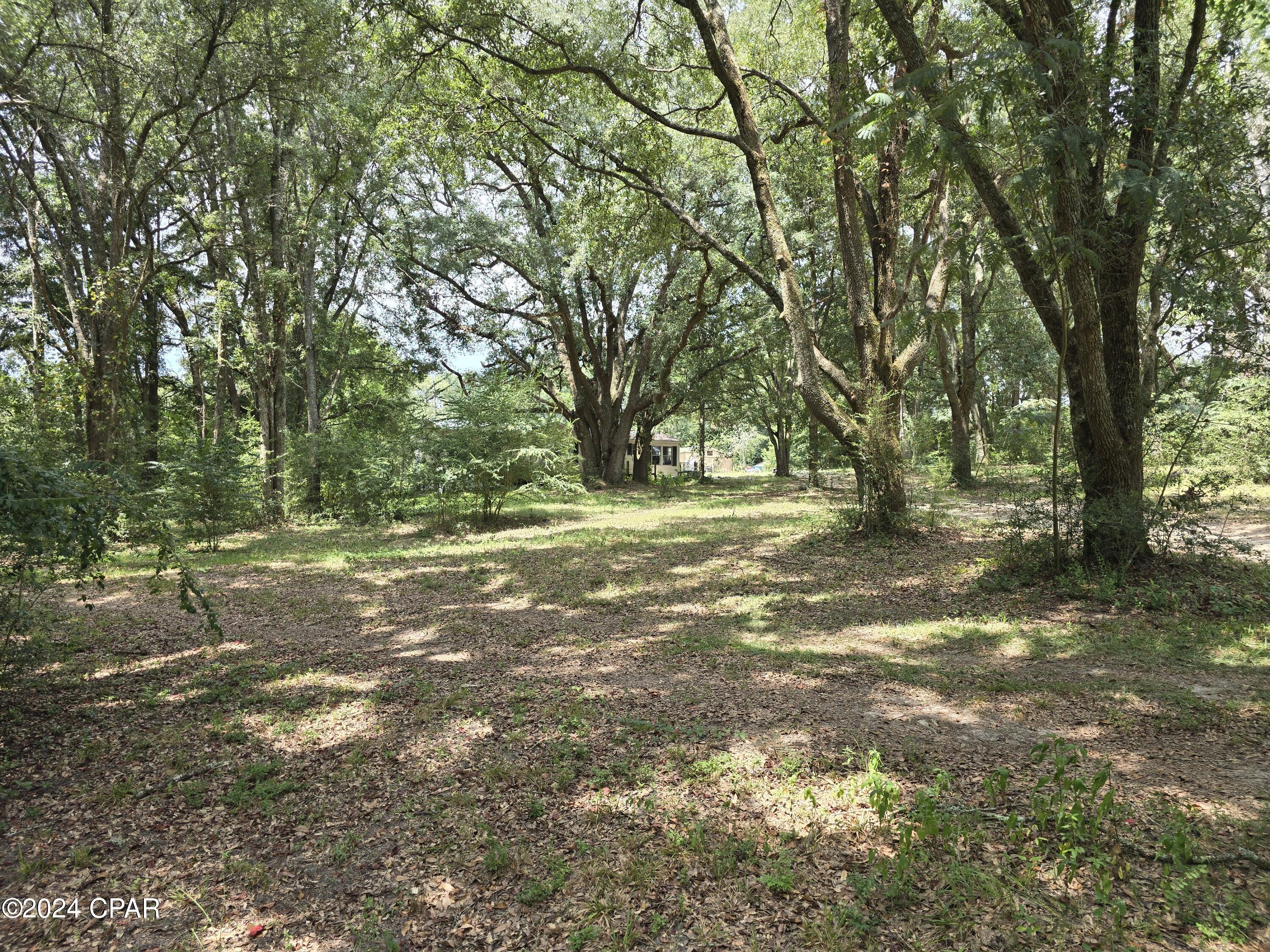 2412 J W Miller Road Bonifay, FL 32425 - Photo 18 of 42 Gallery Image 18