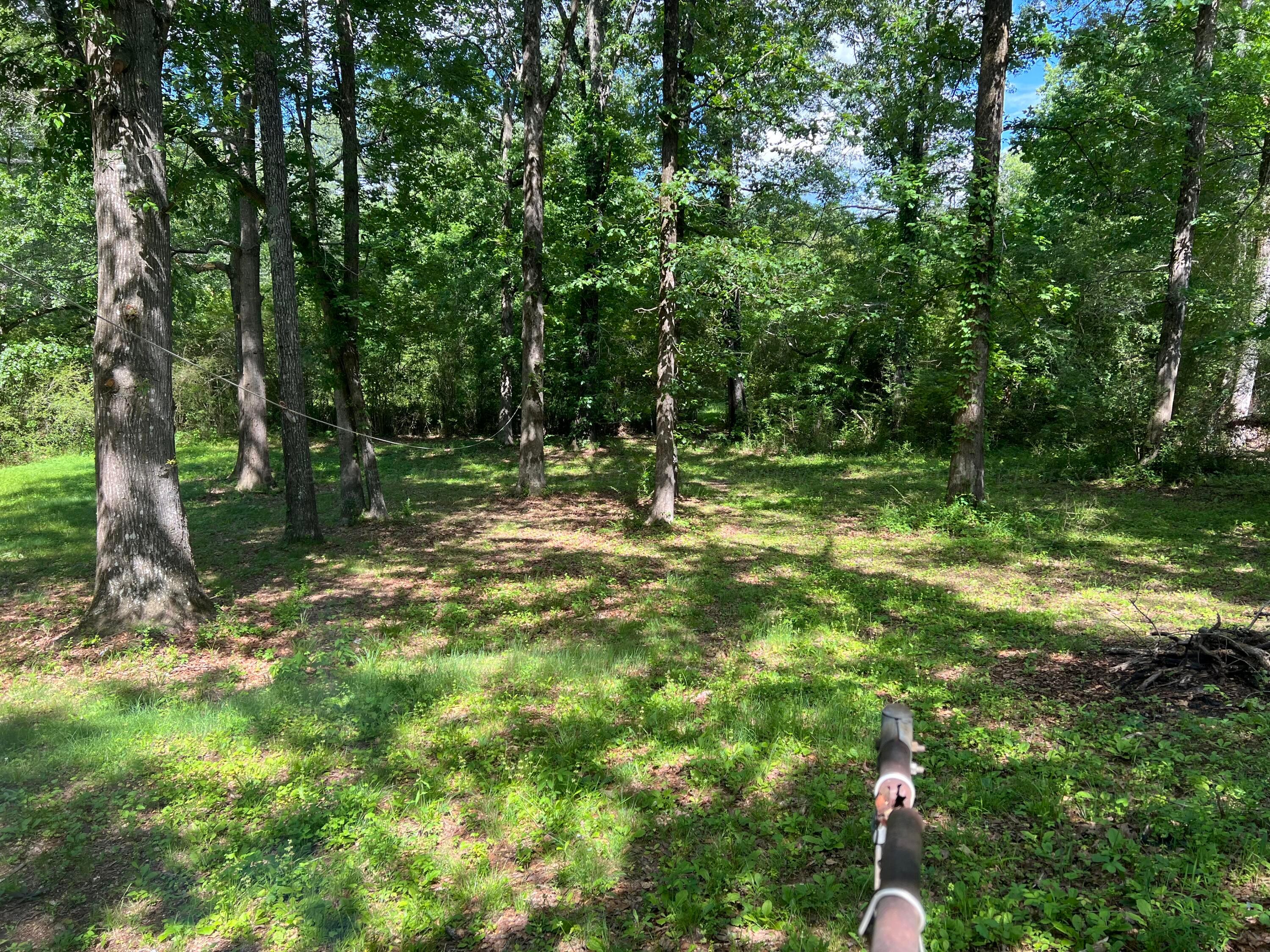 377 Arrow Road Jasper, AL 35501 - Photo 3 of 13 Gallery Image 3