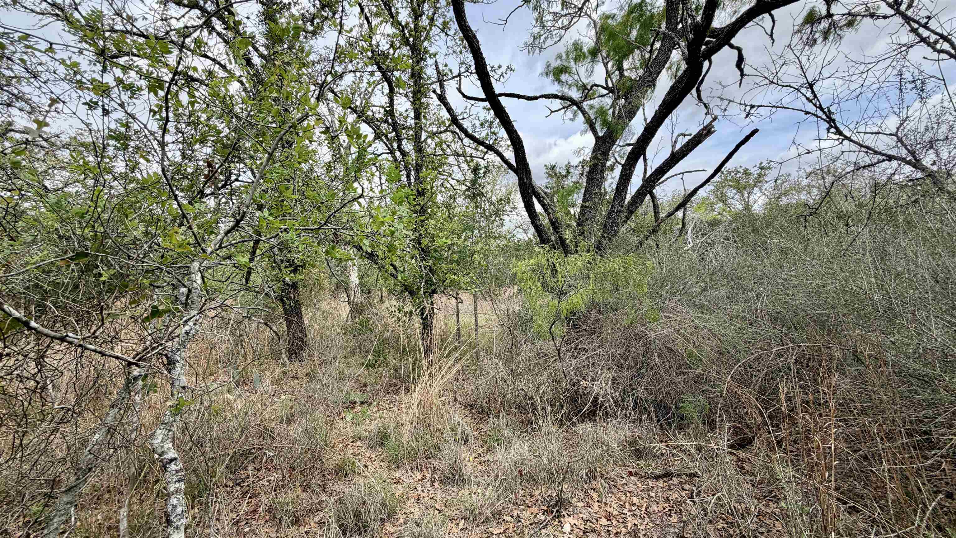 Lot 111 Ridgemont Kingsland, TX 78639 - Photo 11 of 13