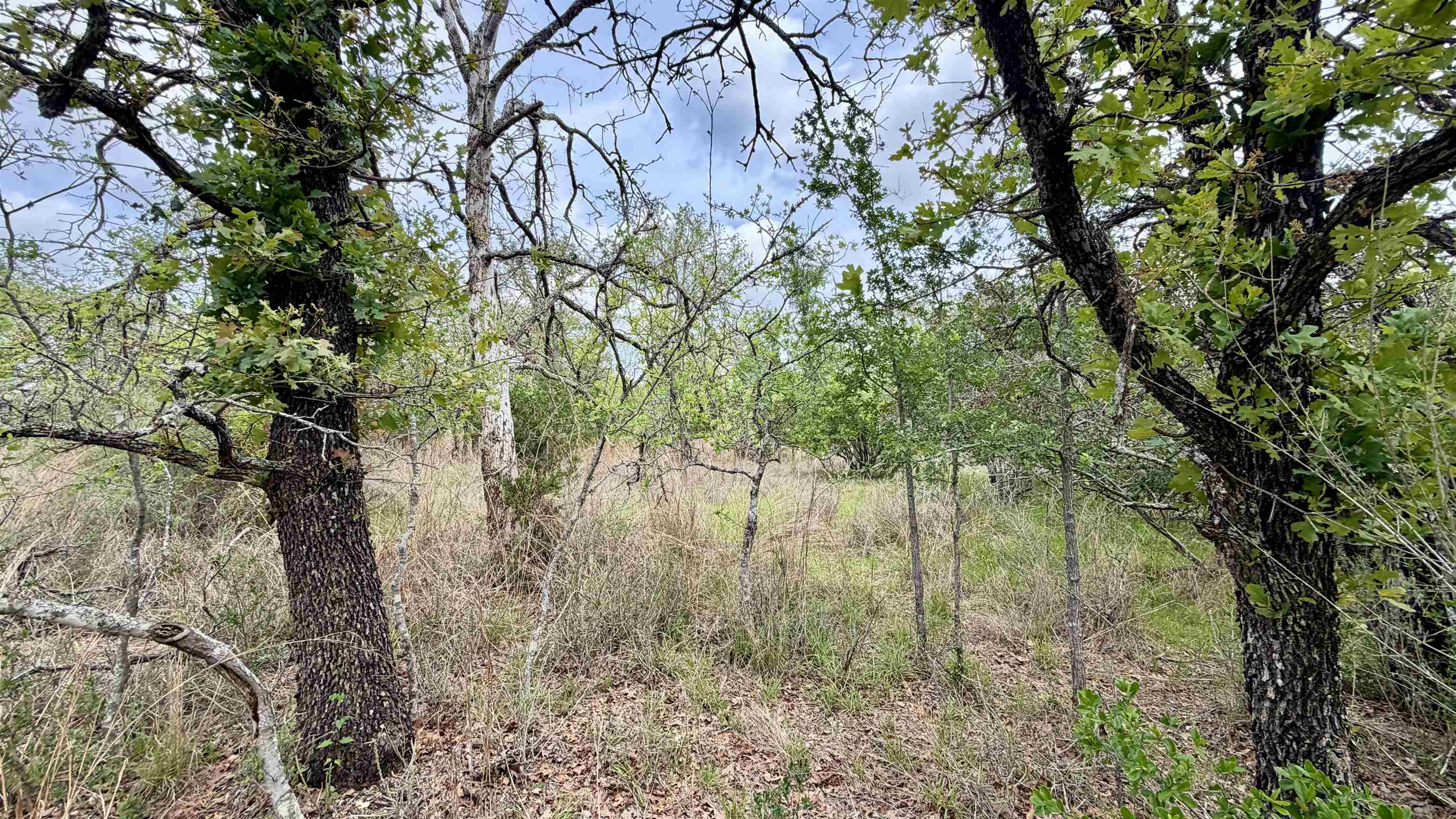 Lot 111 Ridgemont Kingsland, TX 78639 - Photo 12 of 13