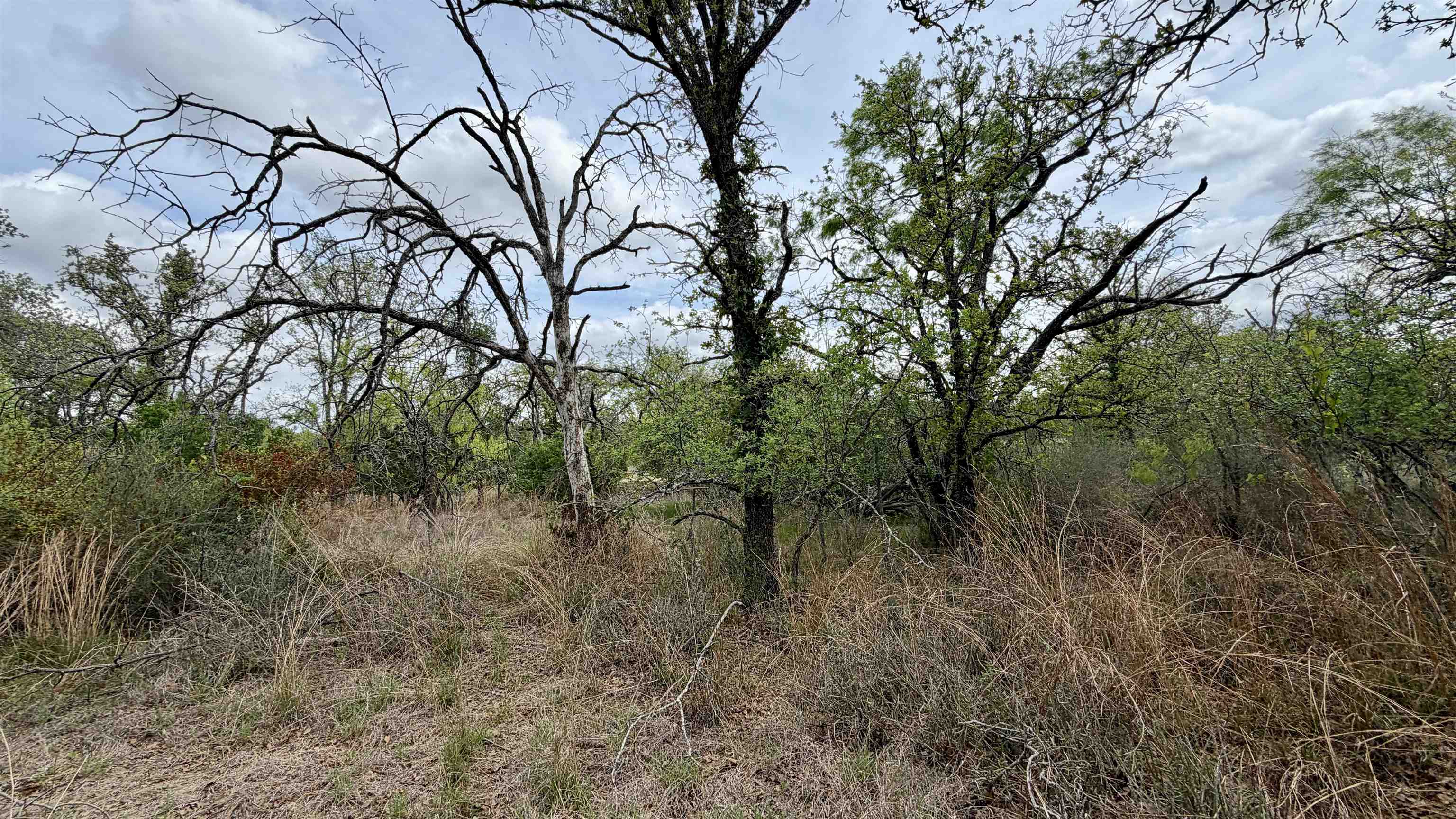 Lot 111 Ridgemont Kingsland, TX 78639 - Photo 13 of 13