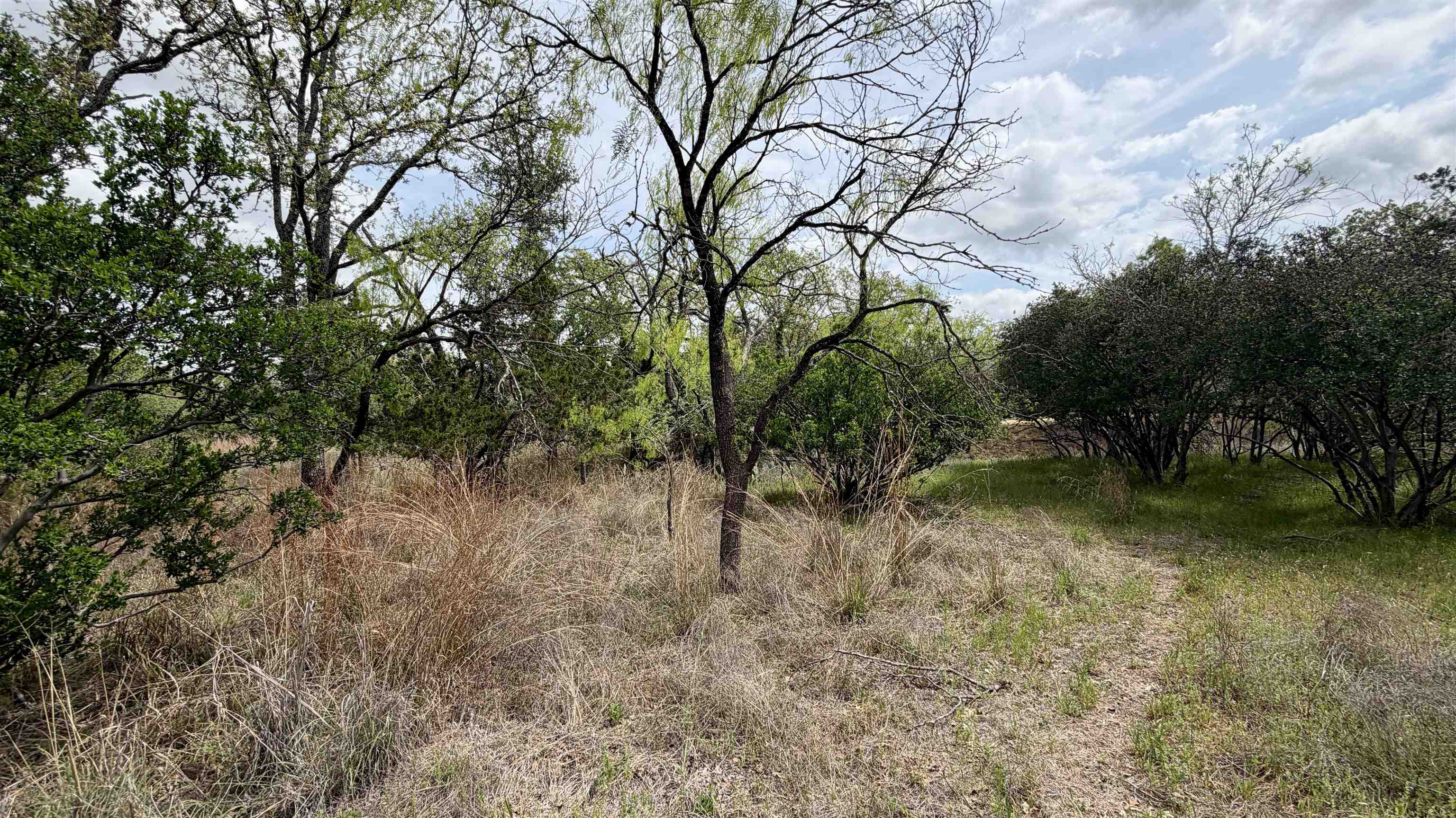 Lot 111 Ridgemont Kingsland, TX 78639 - Photo 2 of 13