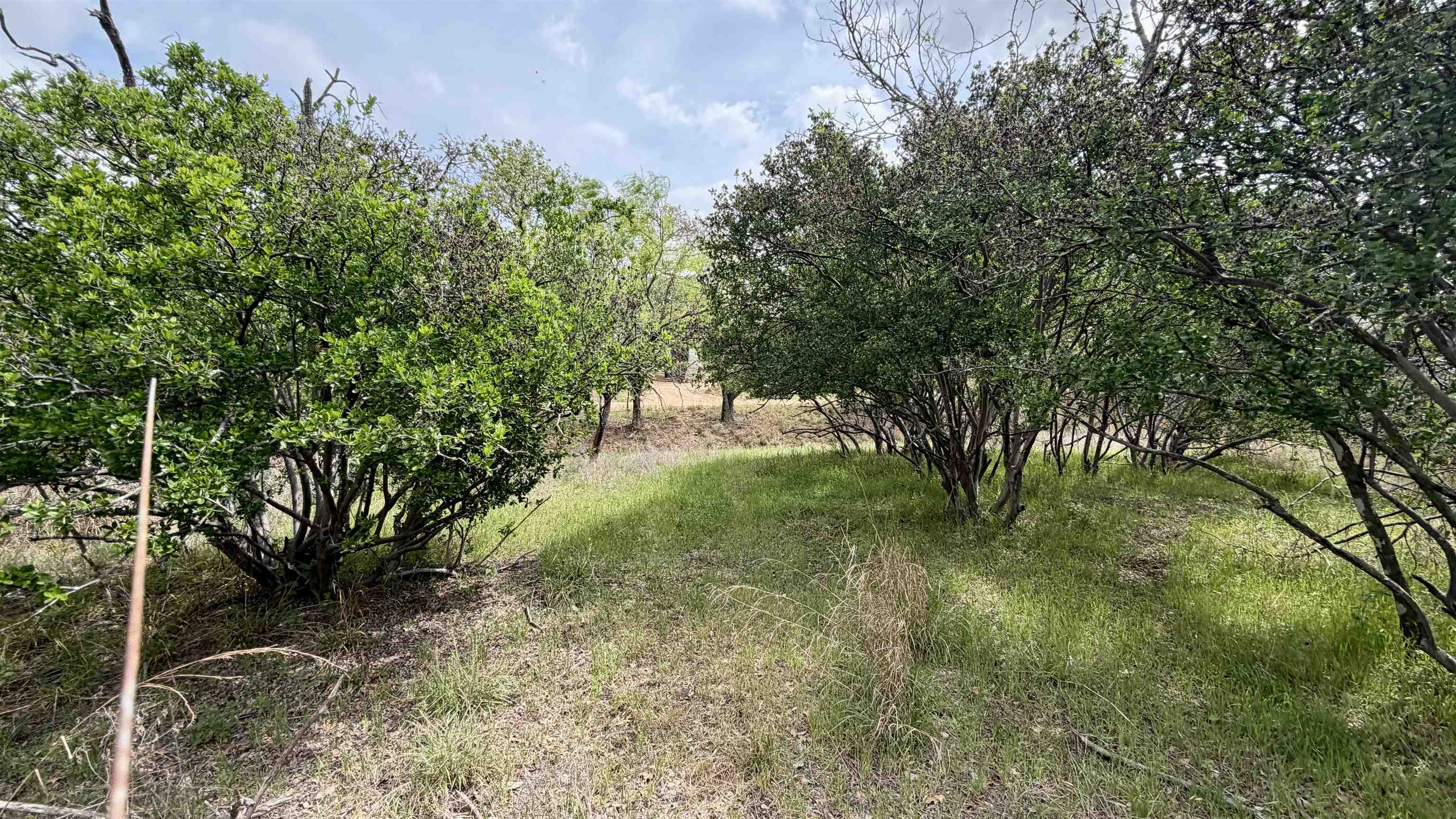 Lot 111 Ridgemont Kingsland, TX 78639 - Photo 4 of 13