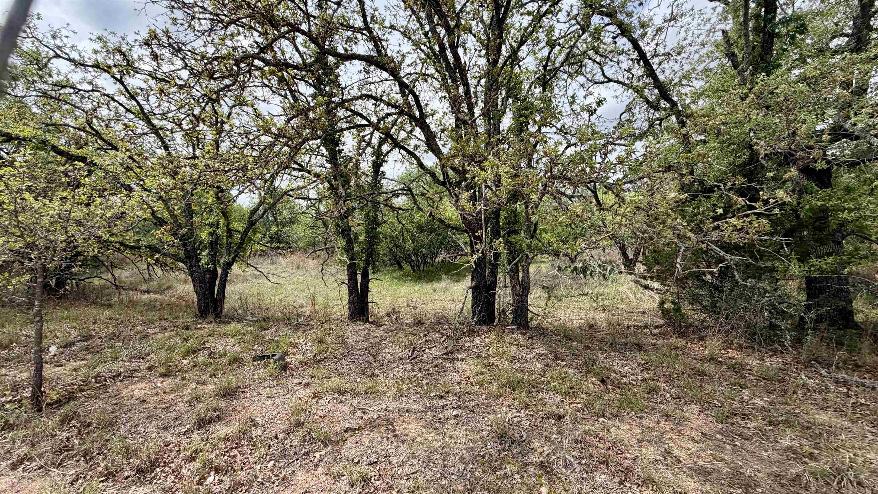 Lot 111 Ridgemont Kingsland, TX 78639 - Photo 6 of 13