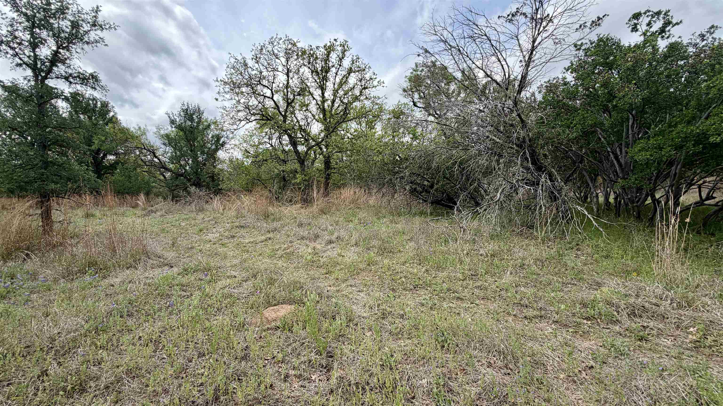 Lot 111 Ridgemont Kingsland, TX 78639 - Photo 9 of 13