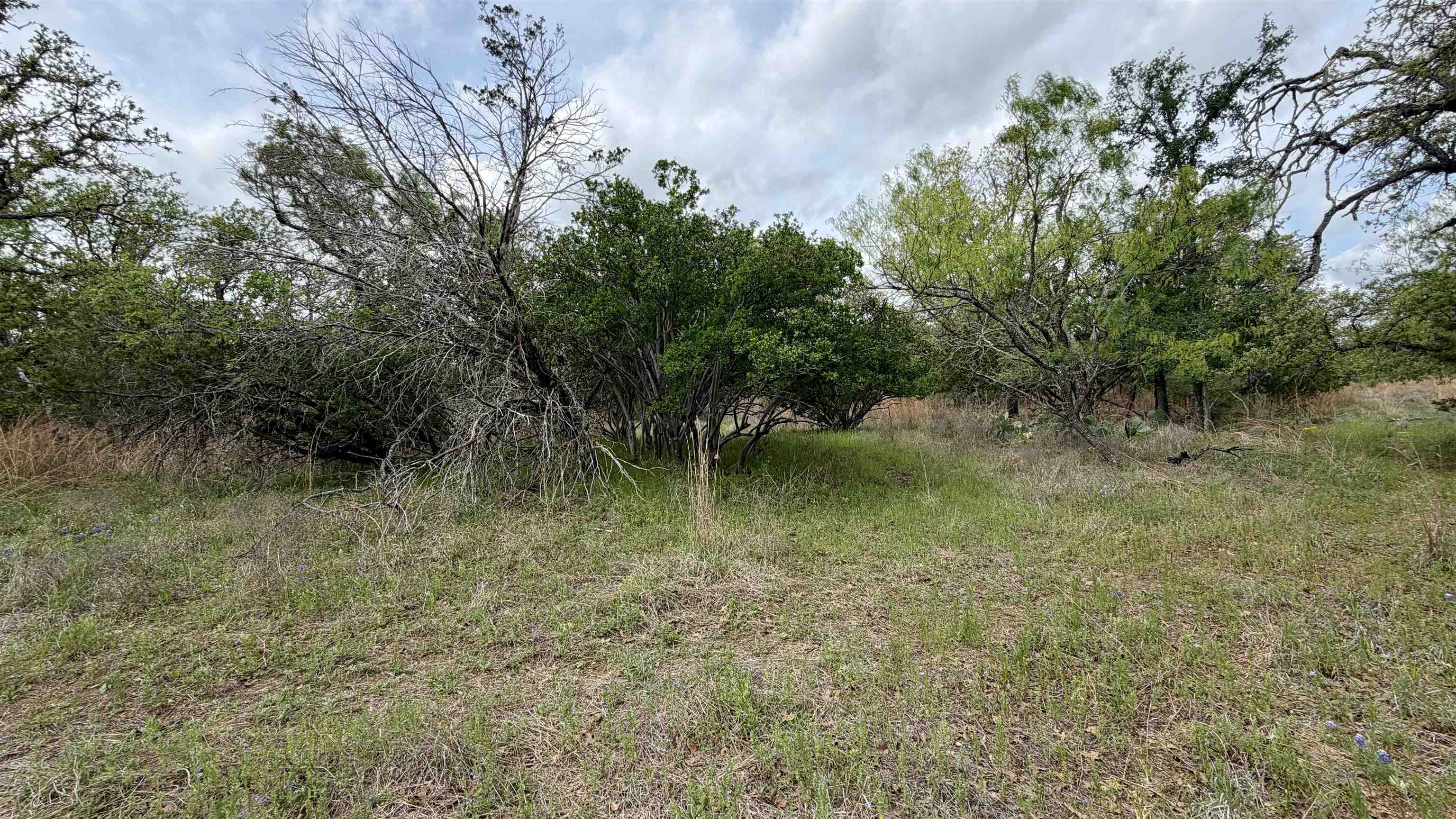 Lot 111 Ridgemont Kingsland, TX 78639 - Photo 10 of 13